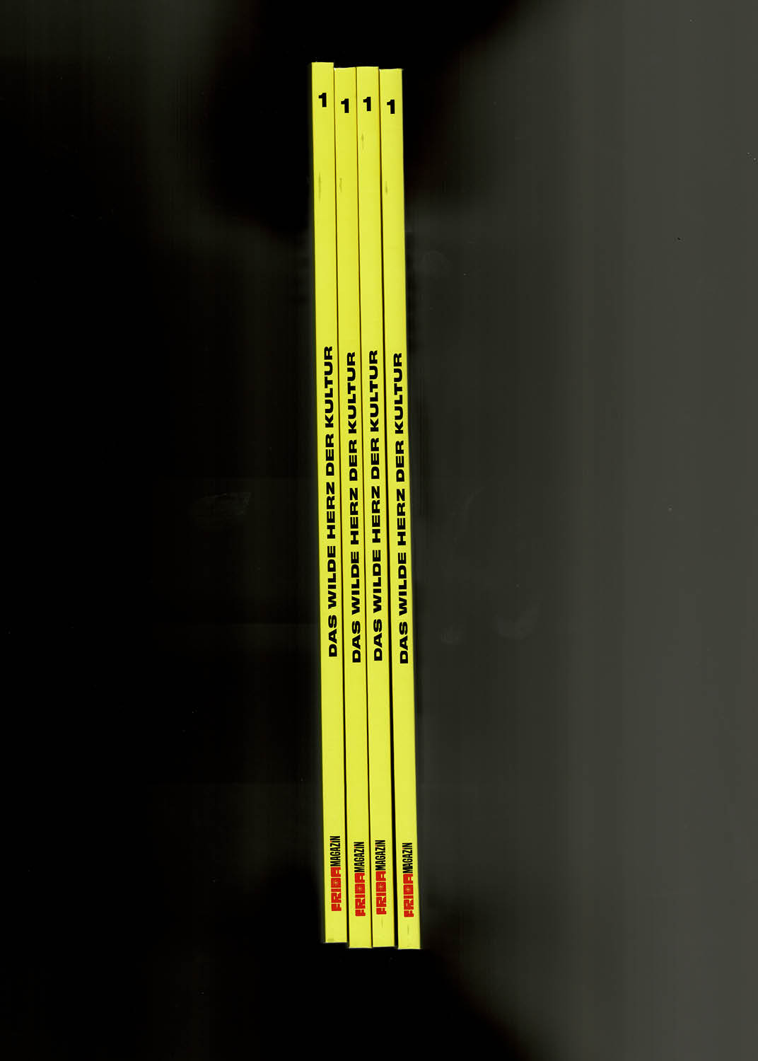 drk-website-frida-mag-2509022