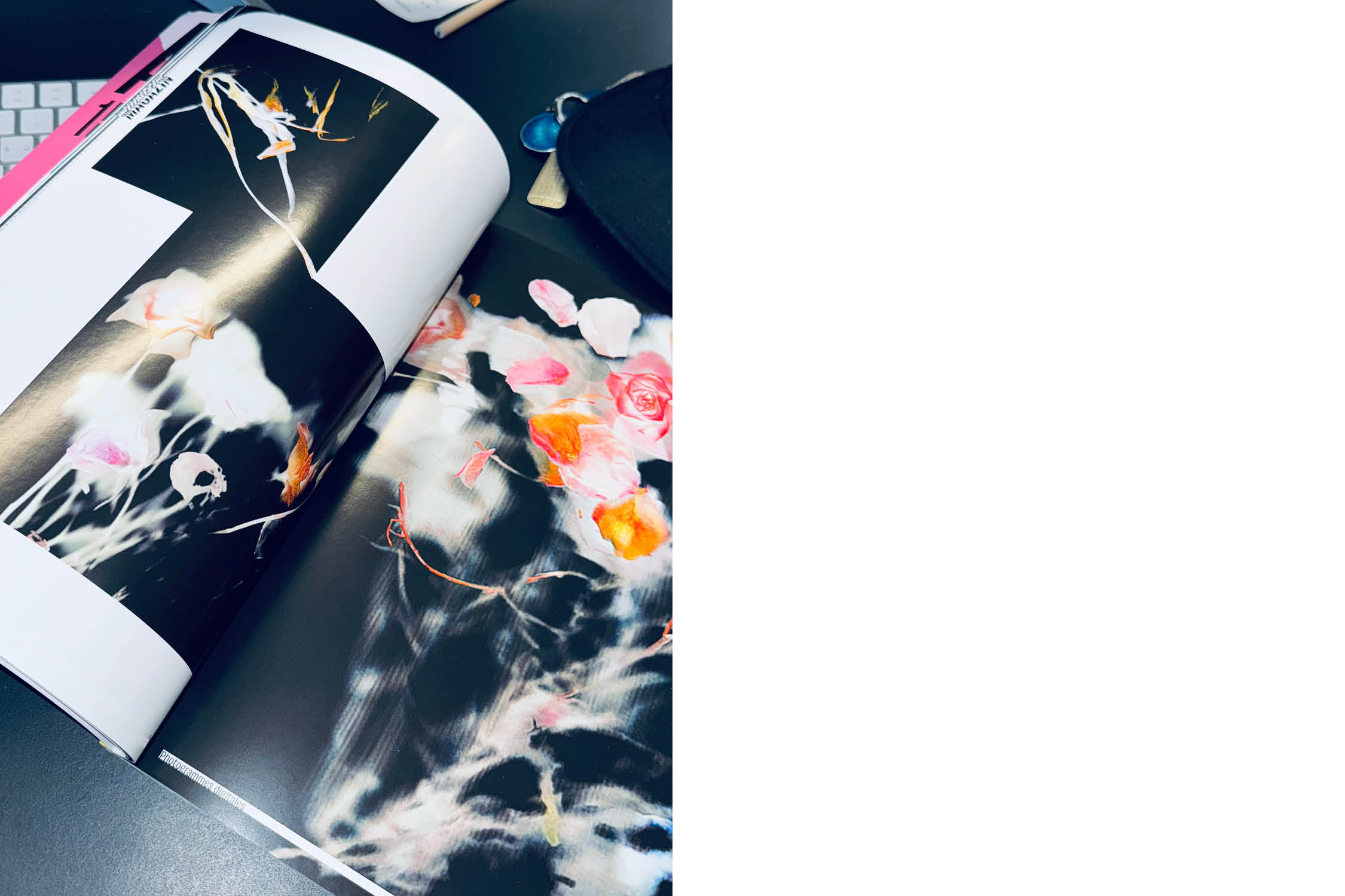 drk-website-frida-mag-2509028